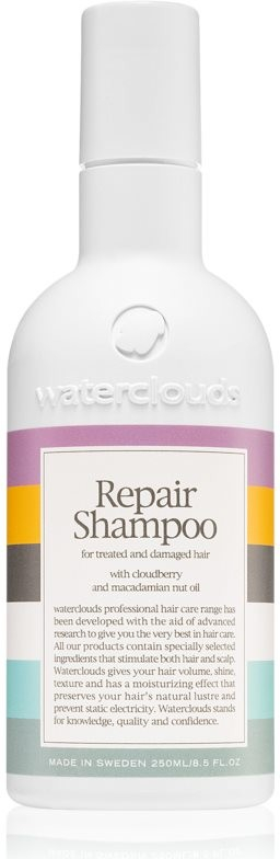 Waterclouds Repair Shampoo 250 ml