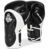 Boxerské rukavice DBX BUSHIDO BB5 10oz