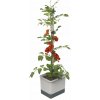 Gusta Garden TOM TOMATO Standard samozavlažovací kvetináč, svetlosivý GG-100610