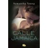 Calle Jamaica (Samantha Young)(Brožovaná)