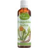 Serafin Púpava koreň - tinktúra z bylín, 50 ml