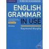 English Grammar in Use Book without Answers