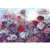 Grafika Sally Rich Sweet William with Butterflies 1000 dielov