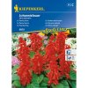 Kiepenkerl semená Šalvia lesklá Johannisfeuer
