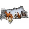 Diera 3D fototapeta nálepka Cválajúca kone 95x73 cm