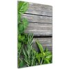 Vertikálny foto obraz sklenený Bylinky na dreve 50x100 cm