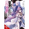 The Demon Sword Master of Excalibur Academy, Vol. 13 (Light Novel) (Roman Lempert)(Brožovaná)