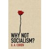 Why Not Socialism?