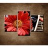 Červené kvety a kamene - 3dielny 90x60cm