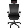 GENESIS Ergonomické herné kreslo ASTAT 700 čierne
