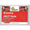 Slovakiapharm SK s.r.o. Slovakiapharm Brusnice AKUT Forte - 1x20 ks