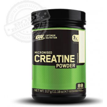 Optimum Nutrition Creatine Powder 317 g