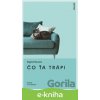 E-kniha Čo ťa trápi - Sigrid Nunez