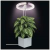 Rastúca lampa EMOS Z7902 Grow 8W