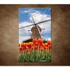 Obraz - Mlyn s tulipánmi 90x60cm