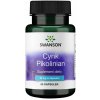 Doplnok výživy Swanson Health Products Pikolinát zinku kapsule 60 ks