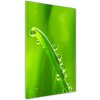 Vertikálny foto obraz sklenený Steblo trávy 50x100 cm