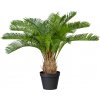 Umelá rastlina cykas cycas revoluta 60 cm zelená v plastovom kvetináči so zeminou 15x13 cm