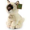 Plyšová mačka ragdoll 23 cm ECO-FRIENDLY SOFT