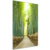 Vertikálny foto obraz sklenený Bambusový les 50x100 cm