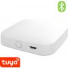 Bluetooth WIFI chytrá brána pro TUYA Smart Life | GATEWAY BHUB-W