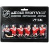 Hokej STIGA hráči NHL Detroit Red Wings (Kompletný tím hráčov, pre všetky hokeje Stiga)