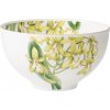 Amazonia - miska 13 cm - Villeroy & Boch