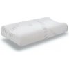 Poťah na vankúš 40x70 a 42x72 91-1319, Tvar vankúša Anatomic, Typ poťahu StressFree