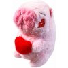 Plyšová Kapybara so srdiečkom 22 cm
