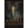 Anděl v podsvětí - Juraj Červenák