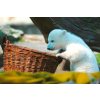Schmidt Spiele Puzzle dielne Puzzle KNUT 500 dielne puzzle od Schmidt Spiele