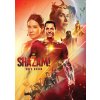Magic Box Shazam! Hnev bohov (SK) W02504 DVD