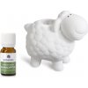 Aróma lampa ovečka biela + vonný olej Eukalyptus, 10 ml