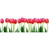 Dimex fototapeta Tulipány M-490 | 330 x 110 cm (Vliesová fototapeta | lepidlo zdarma)