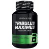 Biotech USA BioTechUSA Tribulus Maximus 90 tabliet