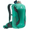 Deuter Race X 12l fern-graphite