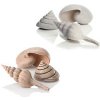 BiOrb Sea shells natural 13 cm, 6,5 cm, 9,5 cm
