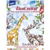 MFP 5301212 Omaľovánky A4 antistresové Život zvierat 210x290mm/32s