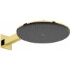 Hansgrohe Raindance Alive S - Hlavová sprcha, priemer 30 cm, 2 prúdy, EcoSmart, leštený vzhľad zlata 24541990