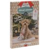 Beeztees PAW Adventný kalendár pre psov 100g