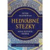 Hedvábné stezky: Nová historie světa