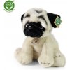 Rappa Plyšový pes mops 30 cm ECO-FRIENDLY