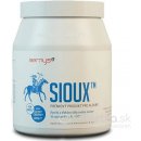 Barny's Sioux MSM Super Forte 600 g