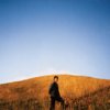 Burton Sam - Dear Departed [CD]