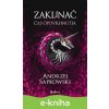 E-kniha Zaklínač IV.: Čas opovrhnutia - Andrzej Sapkowski, Brian Terrero (ilustrátor), Jakub Šimjak (ilustrátor)