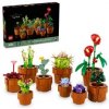 LEGO® Botanicals 10329: Miniaturní rostliny