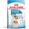 Royal Canin Mini Starter Mother&Babydog 1 kg