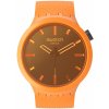 Swatch SB05O102