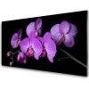 Sklenený obklad Do kuchyne Vstavač orchidea kvety 100x50 cm