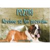 Pozorpes.sk, výstražná tabuľka (Svätobernardský pes Bernardín)